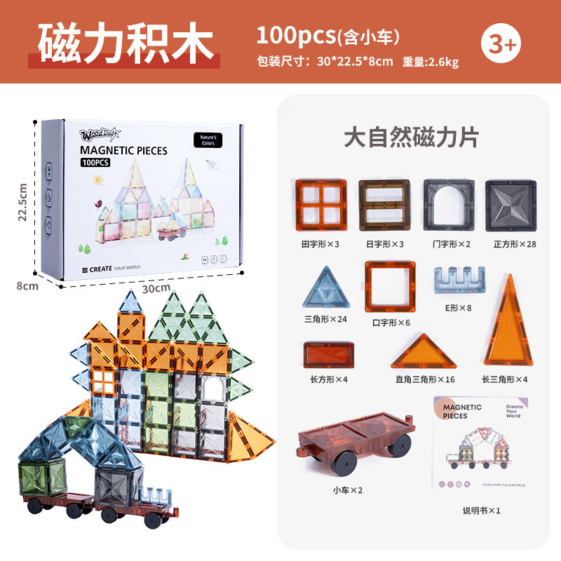 Magnetic Tiles Building Blocks Set for Kids – Creative DIY Construction Toy with Ferris Wheel & Car, Educational STEM Magnet Toy for Boys & Girls (60–100 PCS)