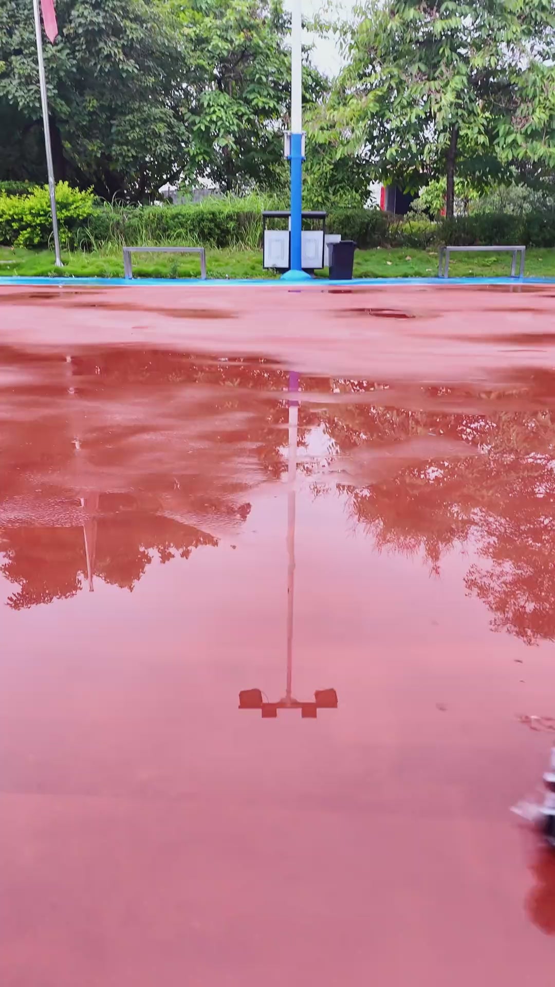 [Factory Direct] Transforming RC Robot Dog Car – 4WD Stunt Remote Control Toy with Gesture Sensor, Smart RC Vehicle for Kids 08