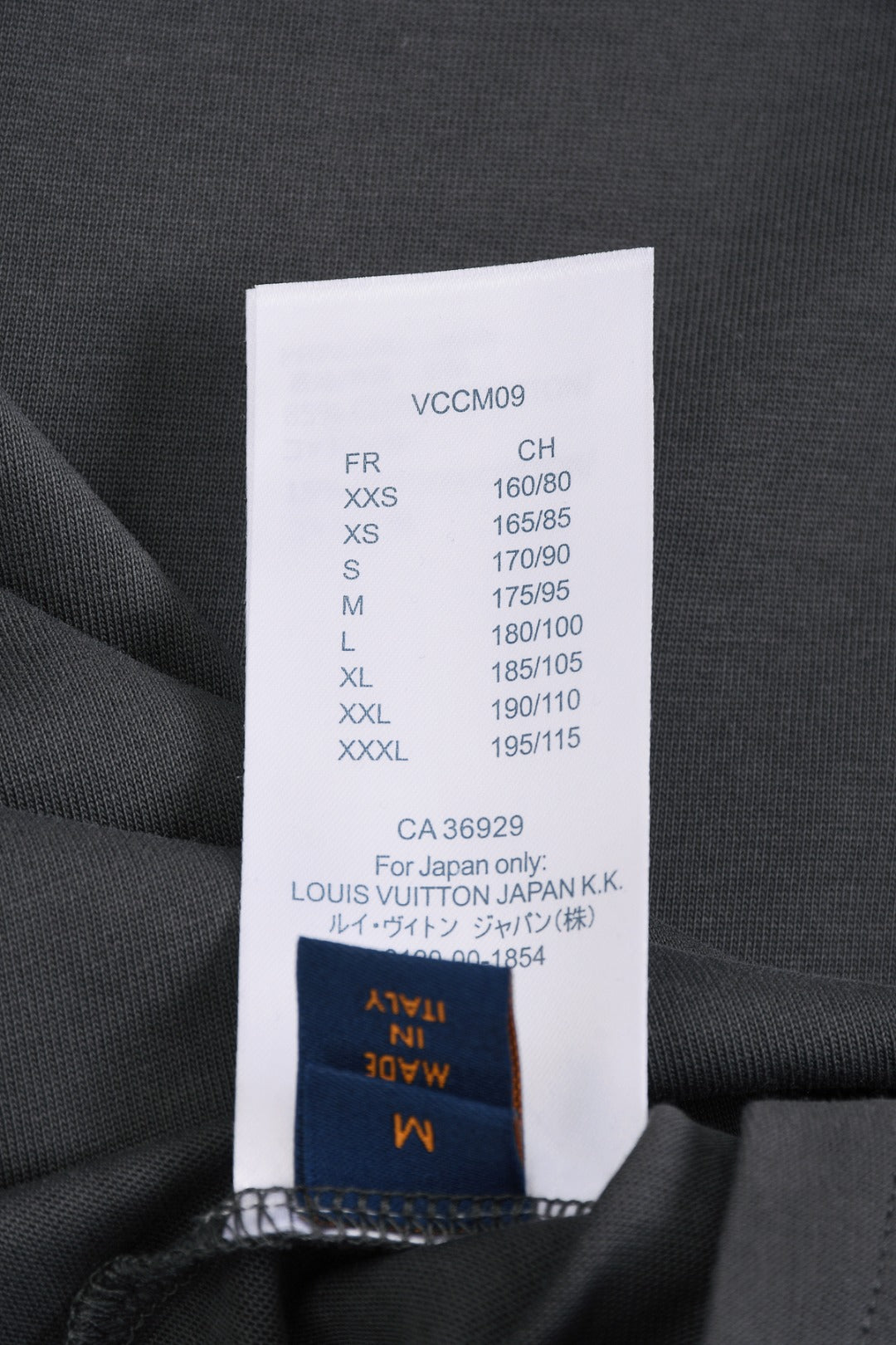 Louis Vuitton 25SS Gradient Print Logo T-Shirt – XS, S, M, L – Unisex Premium Cotton Tee