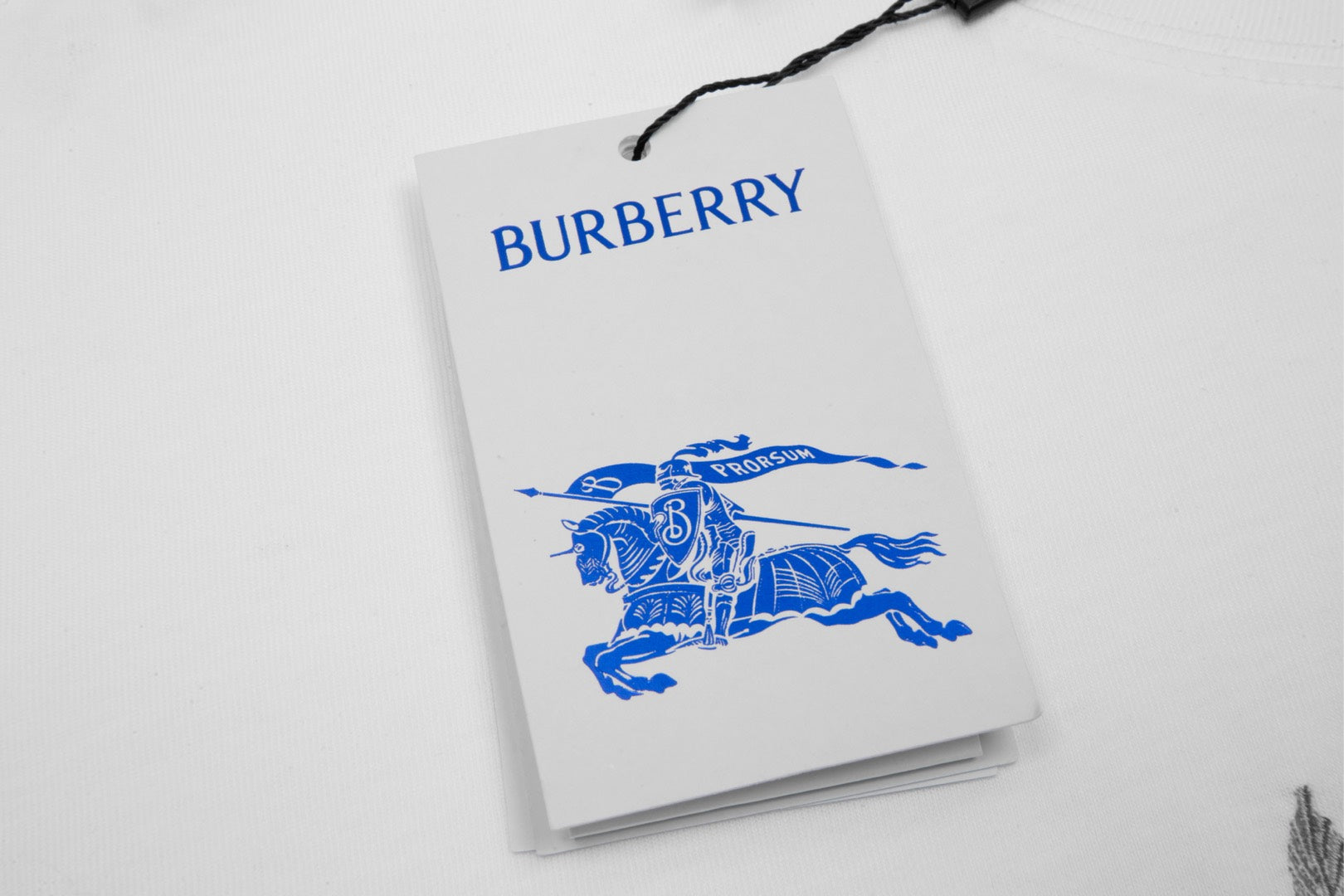 BURBERRY Unisex Golden Laurel Embroidery Cotton T-Shirt – White | Sizes XS–L