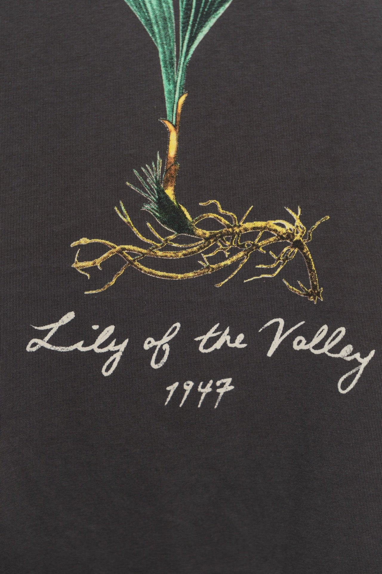 DIOR 2024SS Script Logo Lily of the Valley Flocked T-Shirt – Gray | Sizes XS–L