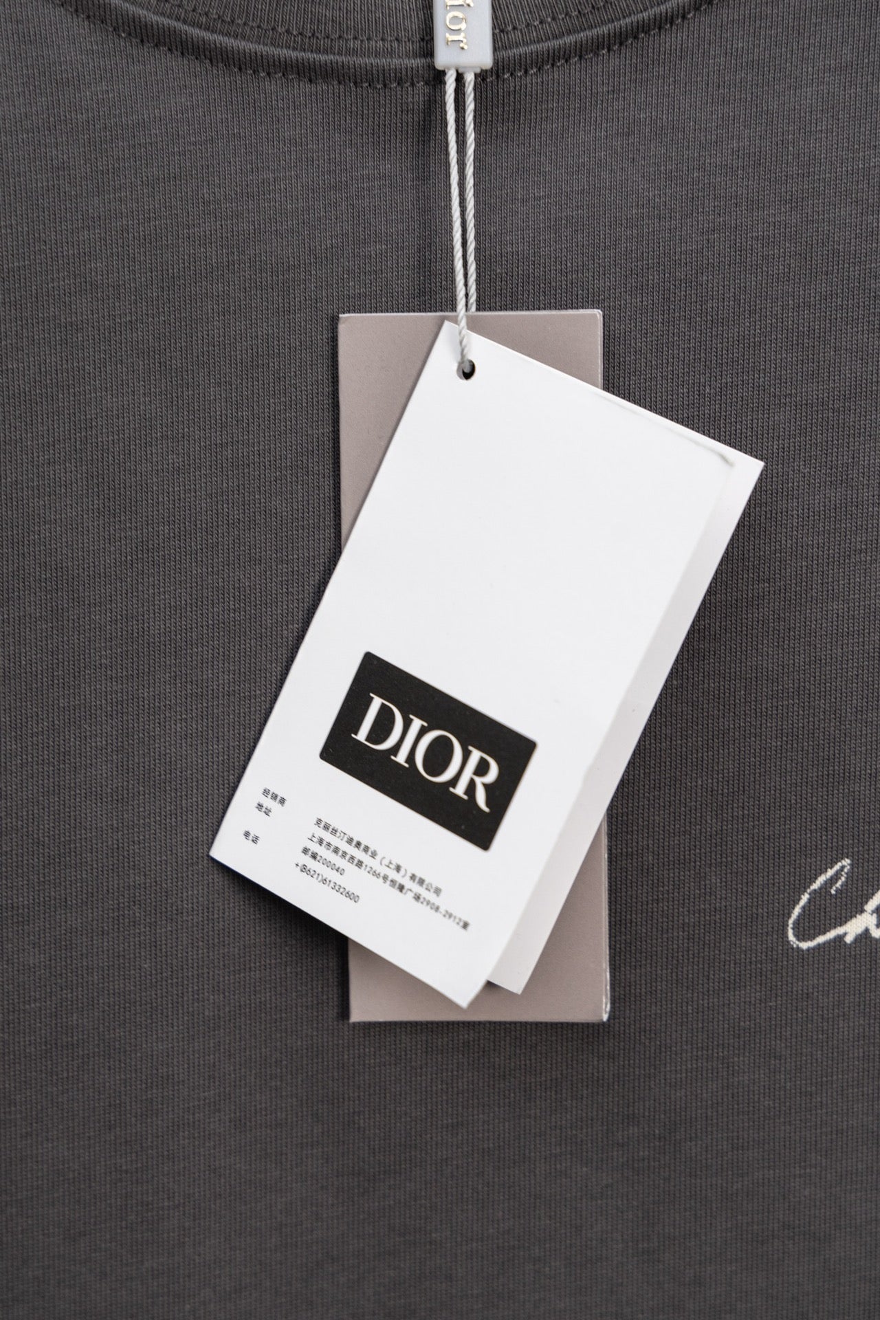 DIOR 2024SS Script Logo Lily of the Valley Flocked T-Shirt – Gray | Sizes XS–L