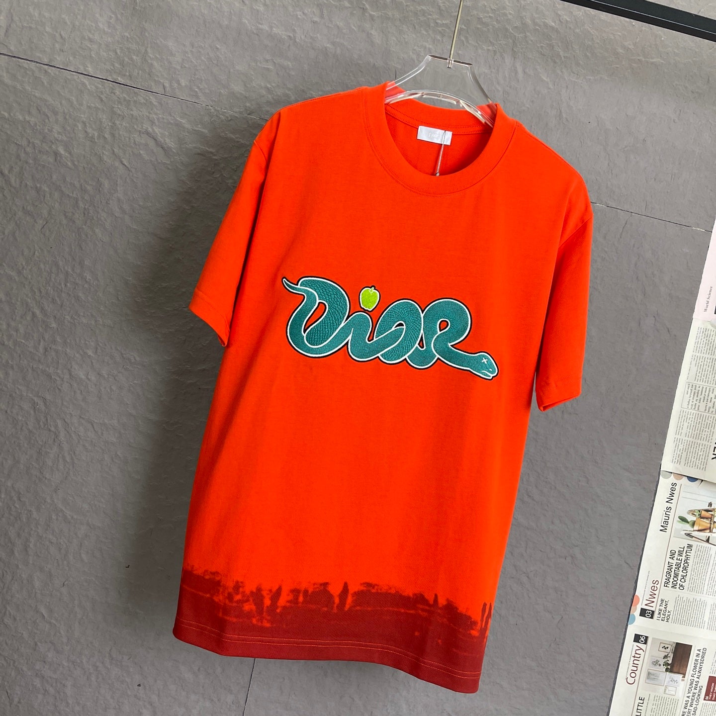 Dior Year of the Snake Embroidery T-Shirt | 300g Premium Cotton | Unisex S–XL