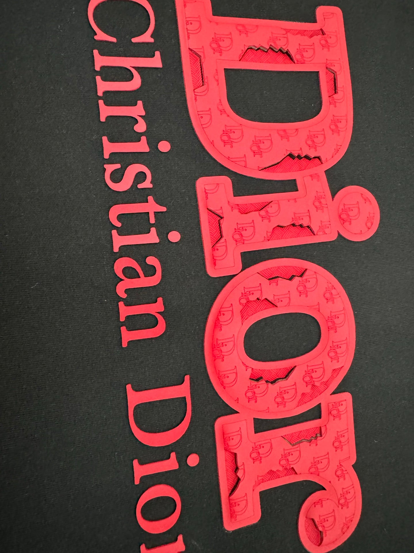 Dior Heavyweight Cotton Logo T-Shirt | 270g Pure Cotton | S–XXL