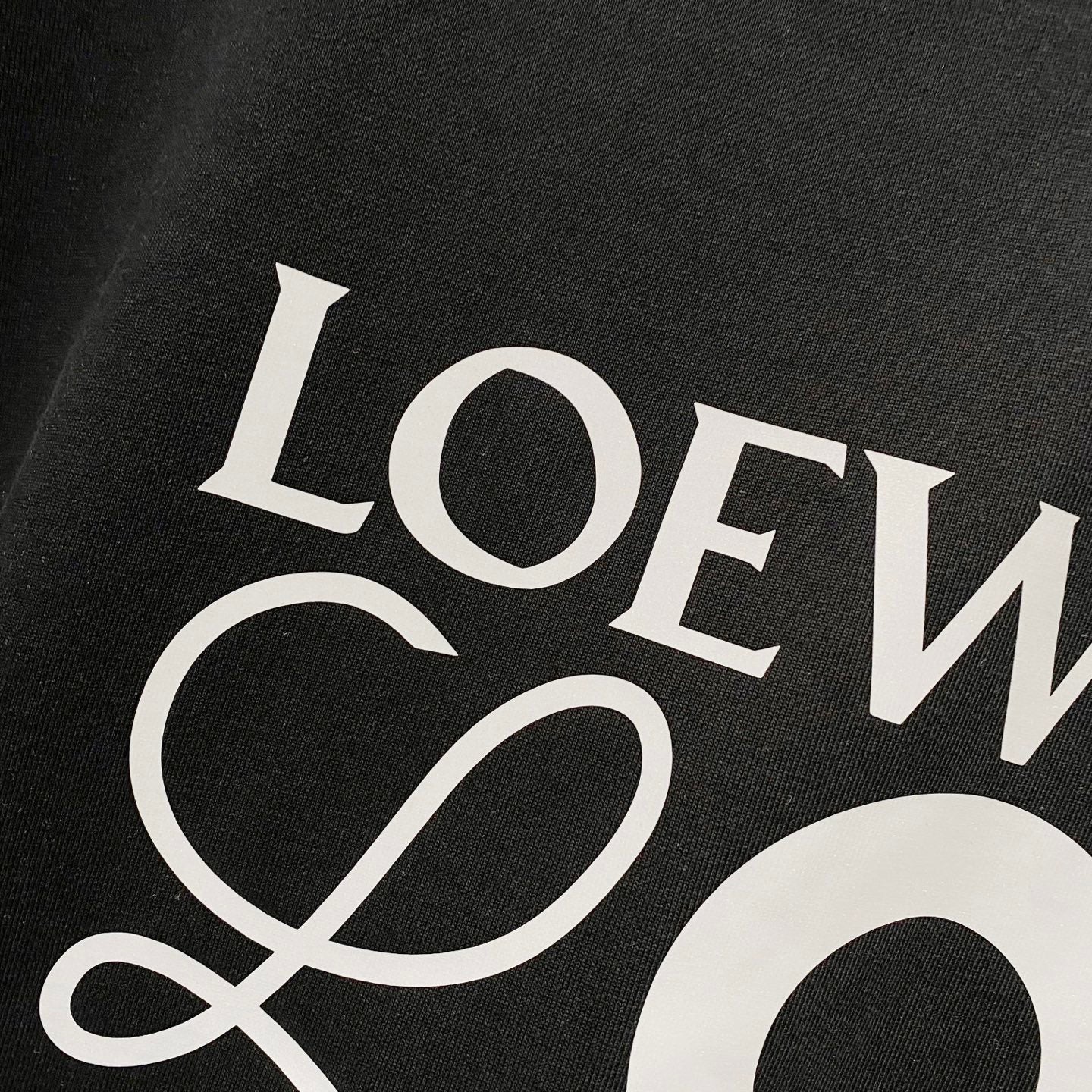 LOEWE 320g Logo Print Crewneck T-Shirt | S–XL