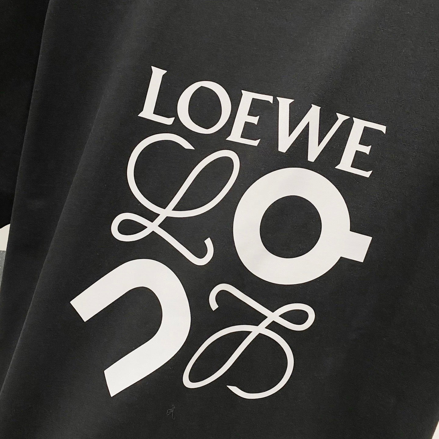 LOEWE 320g Logo Print Crewneck T-Shirt | S–XL