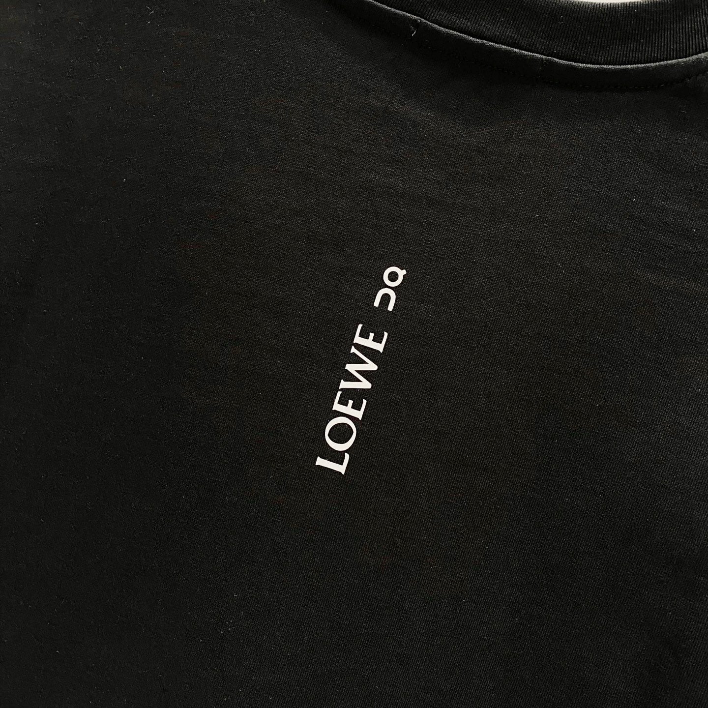 LOEWE 320g Logo Print Crewneck T-Shirt | S–XL
