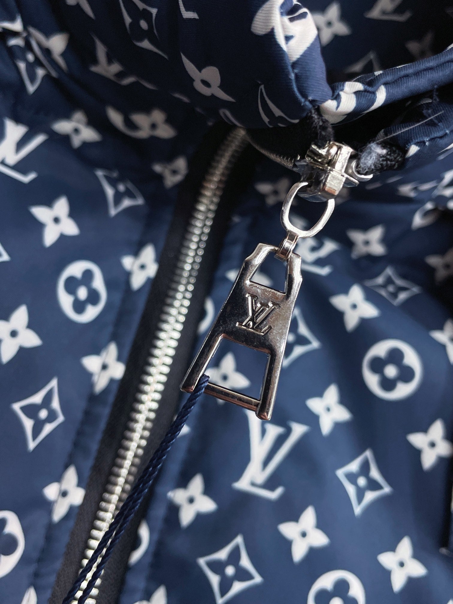 Louis Vuitton 2024 FW Down Jacket – Unisex Logo Edition, Size M–3XL