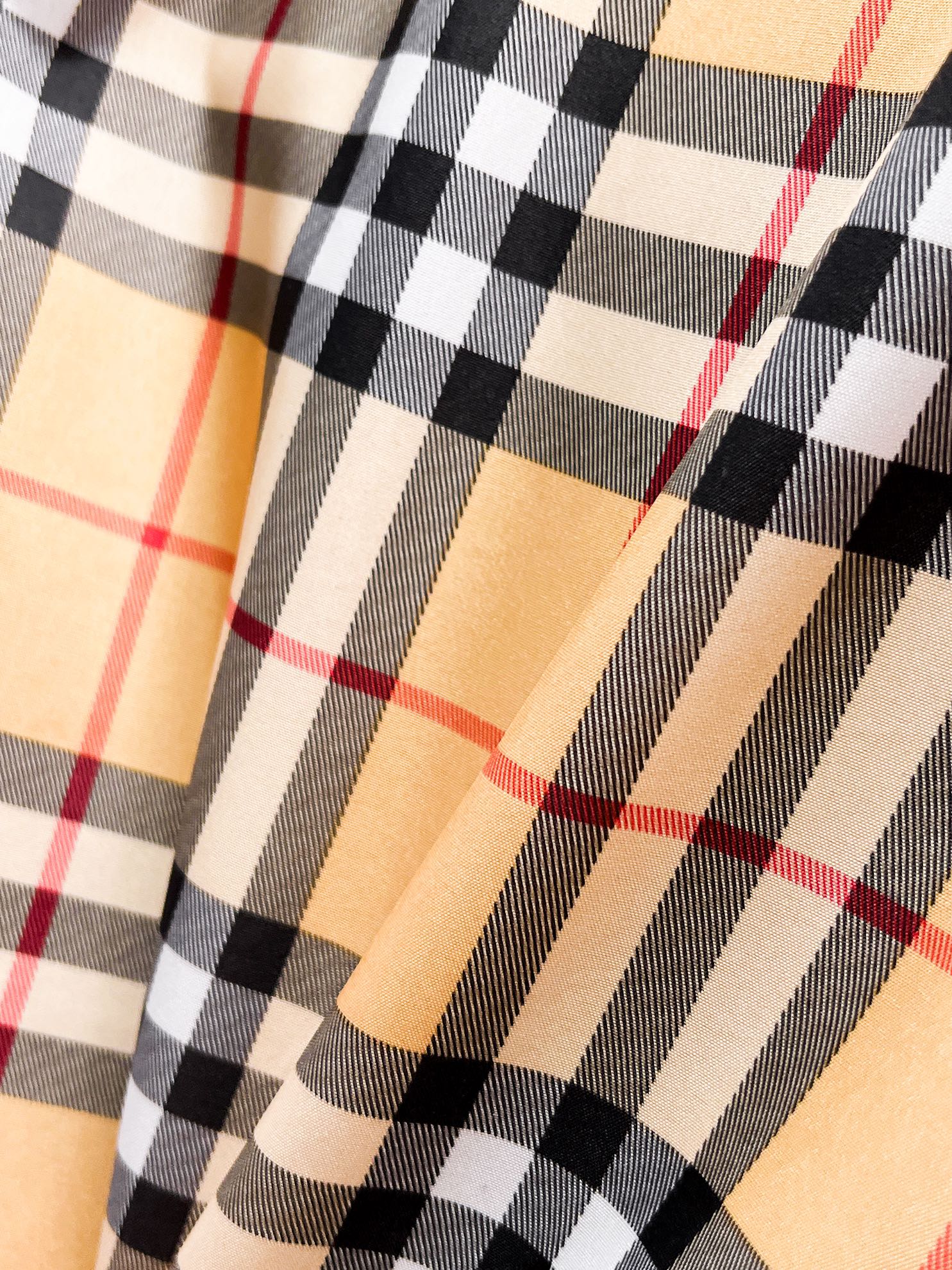Burberry 2024 Fall New Season Jacket | Runway-Inspired Edition (M–XXXL)