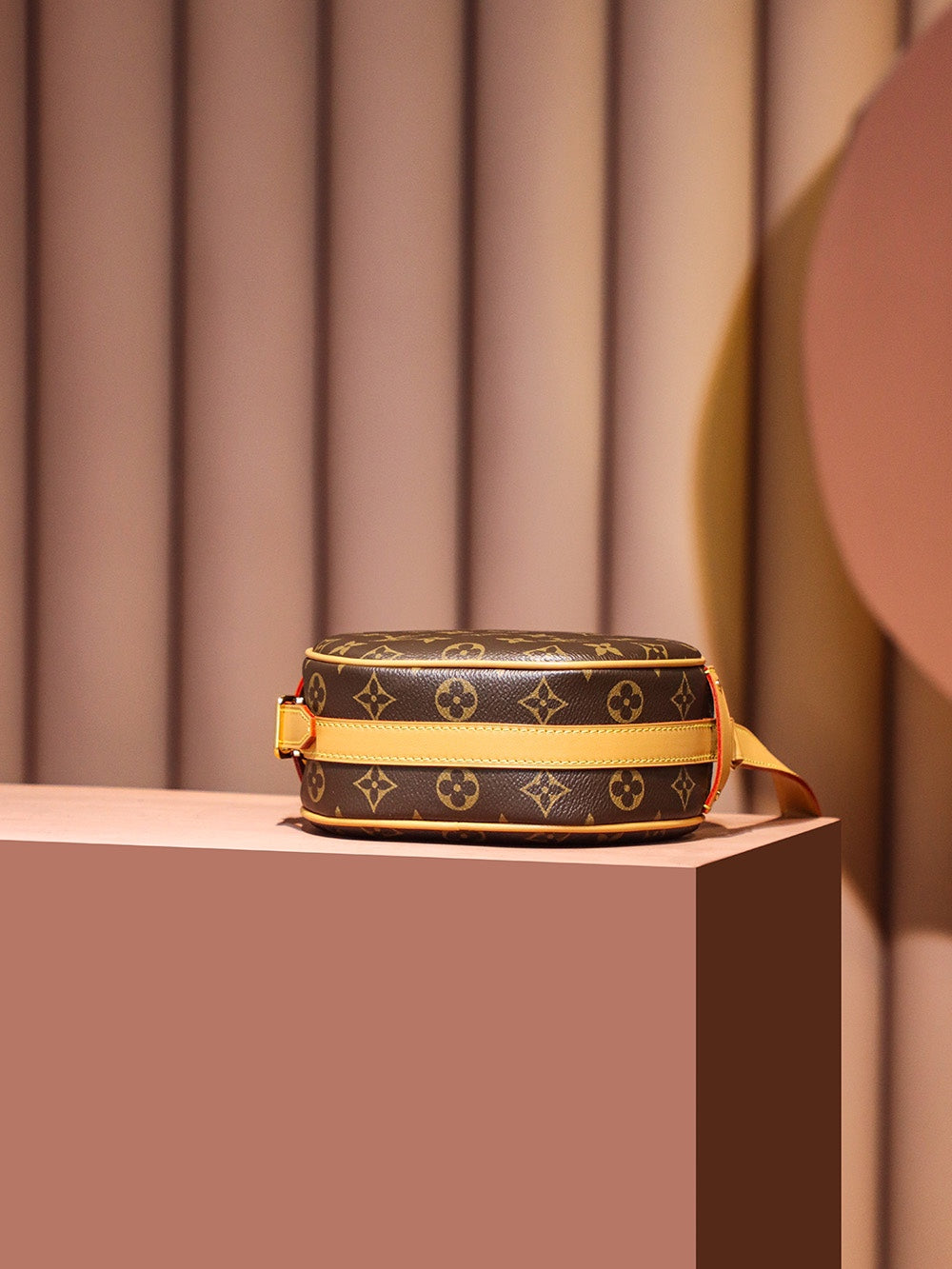 Louis Vuitton women's bags 01