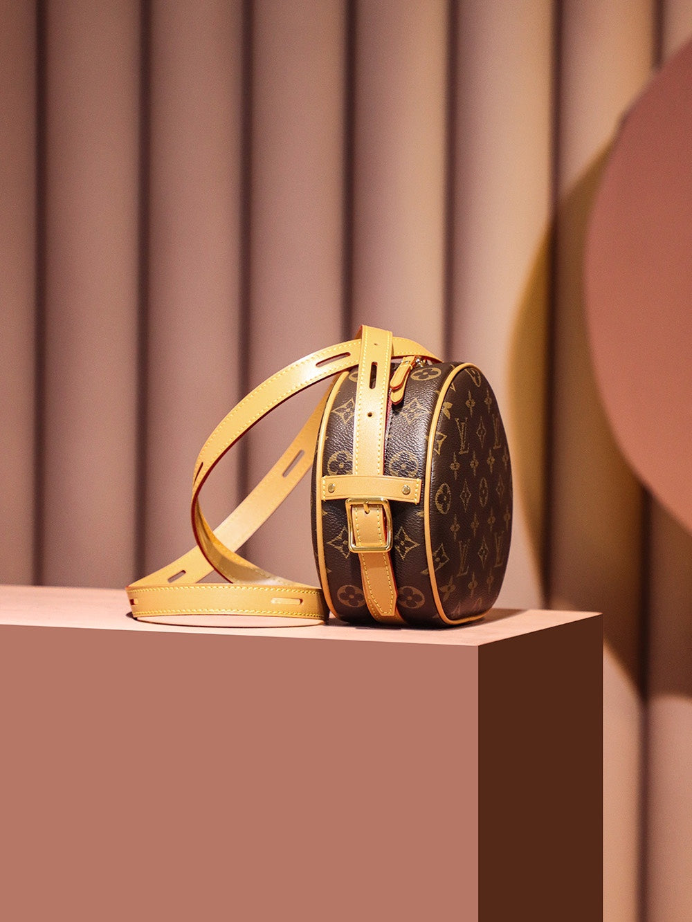 Louis Vuitton women's bags 01