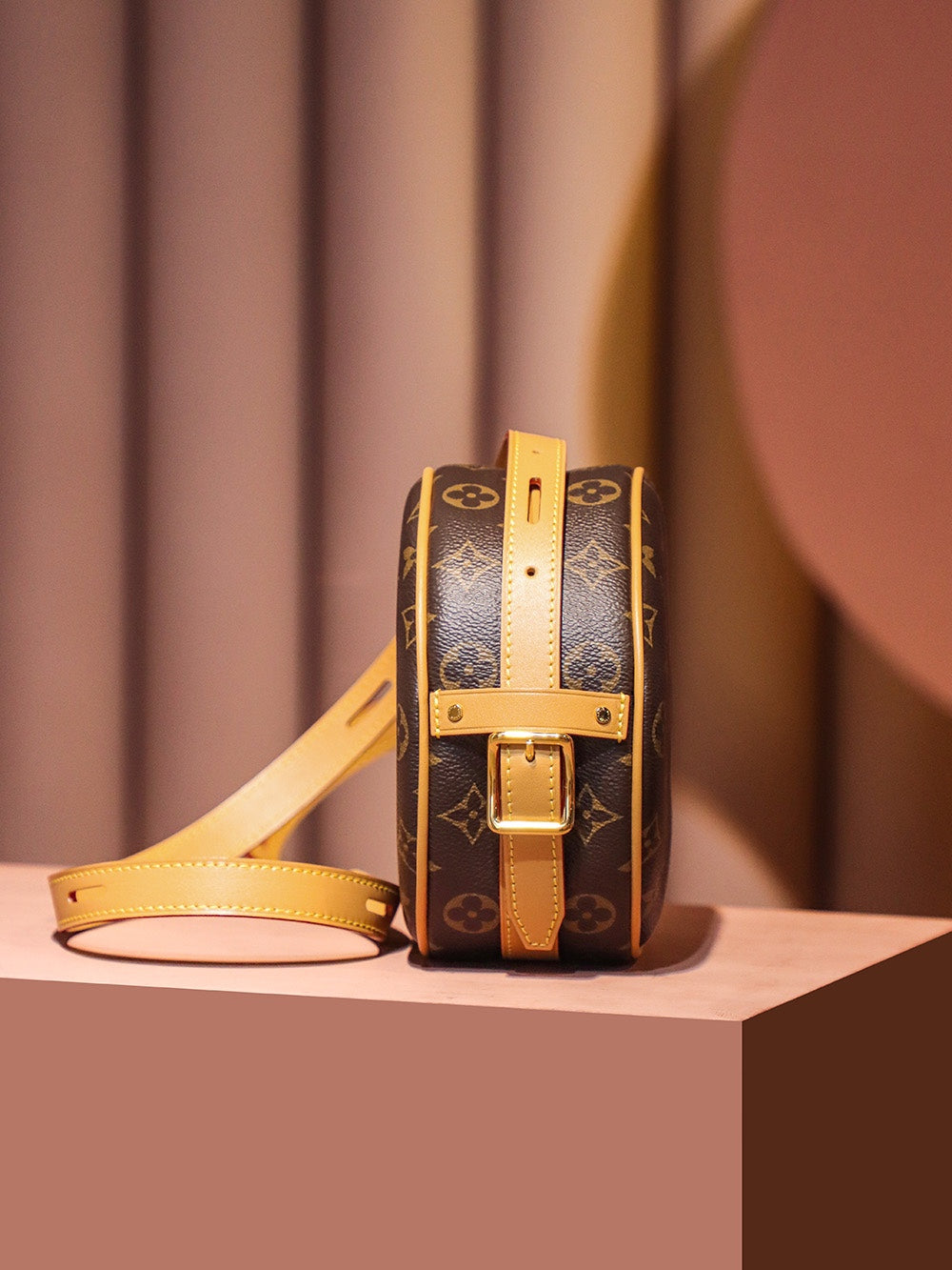 Louis Vuitton women's bags 01