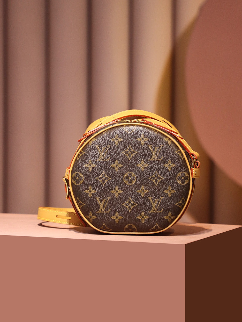 Louis Vuitton women's bags 01