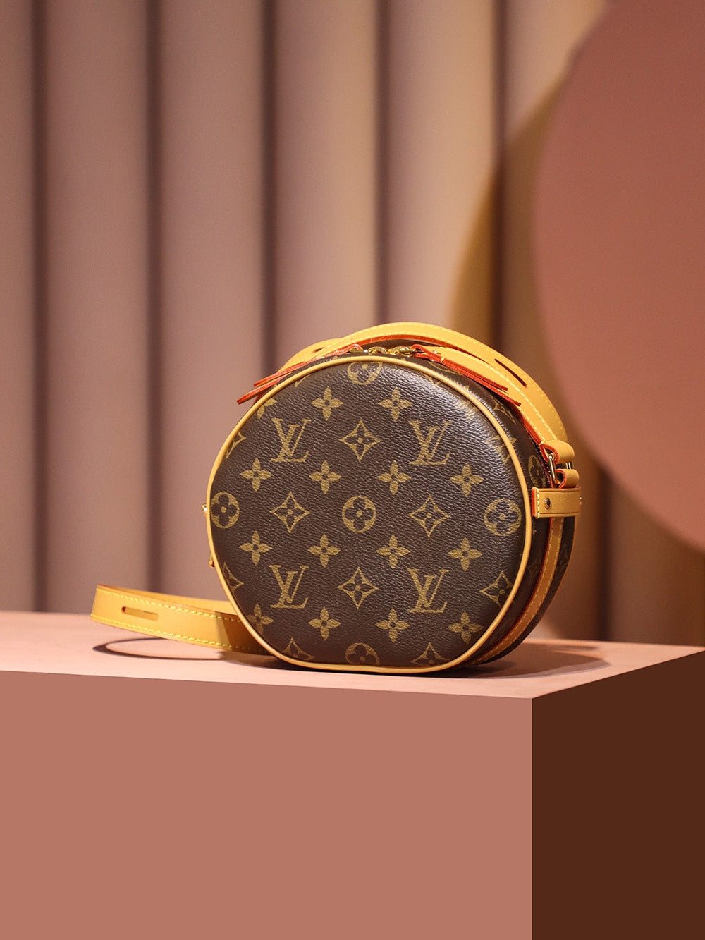 Louis Vuitton women's bags 01