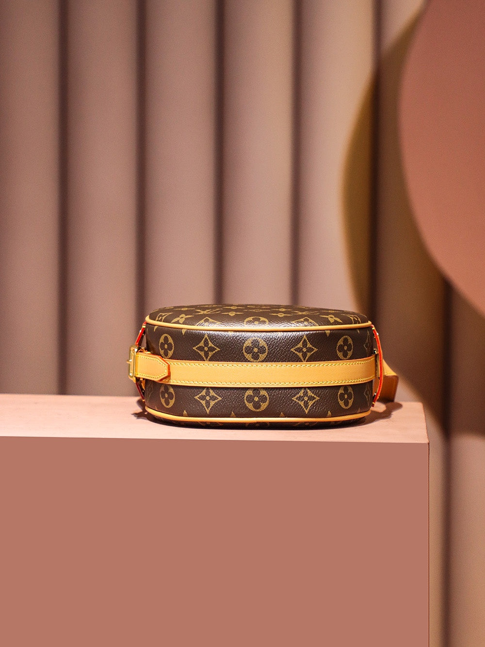 Louis Vuitton women's bags 01