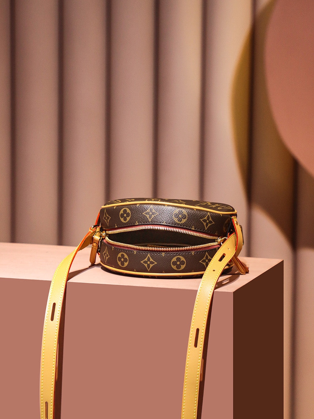 Louis Vuitton women's bags 01