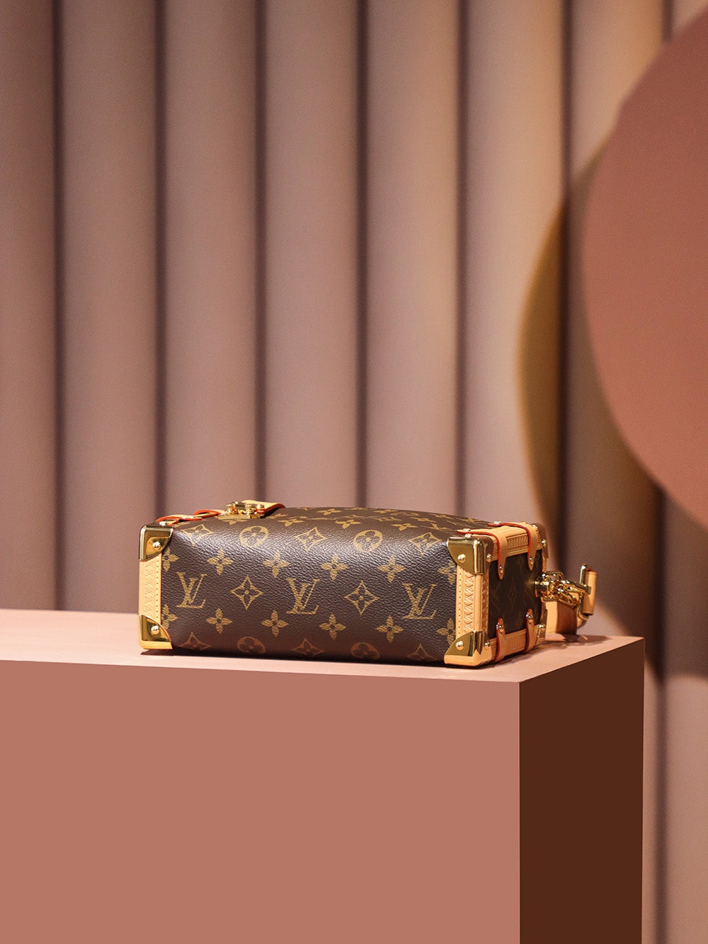 Louis Vuitton women's bags 10