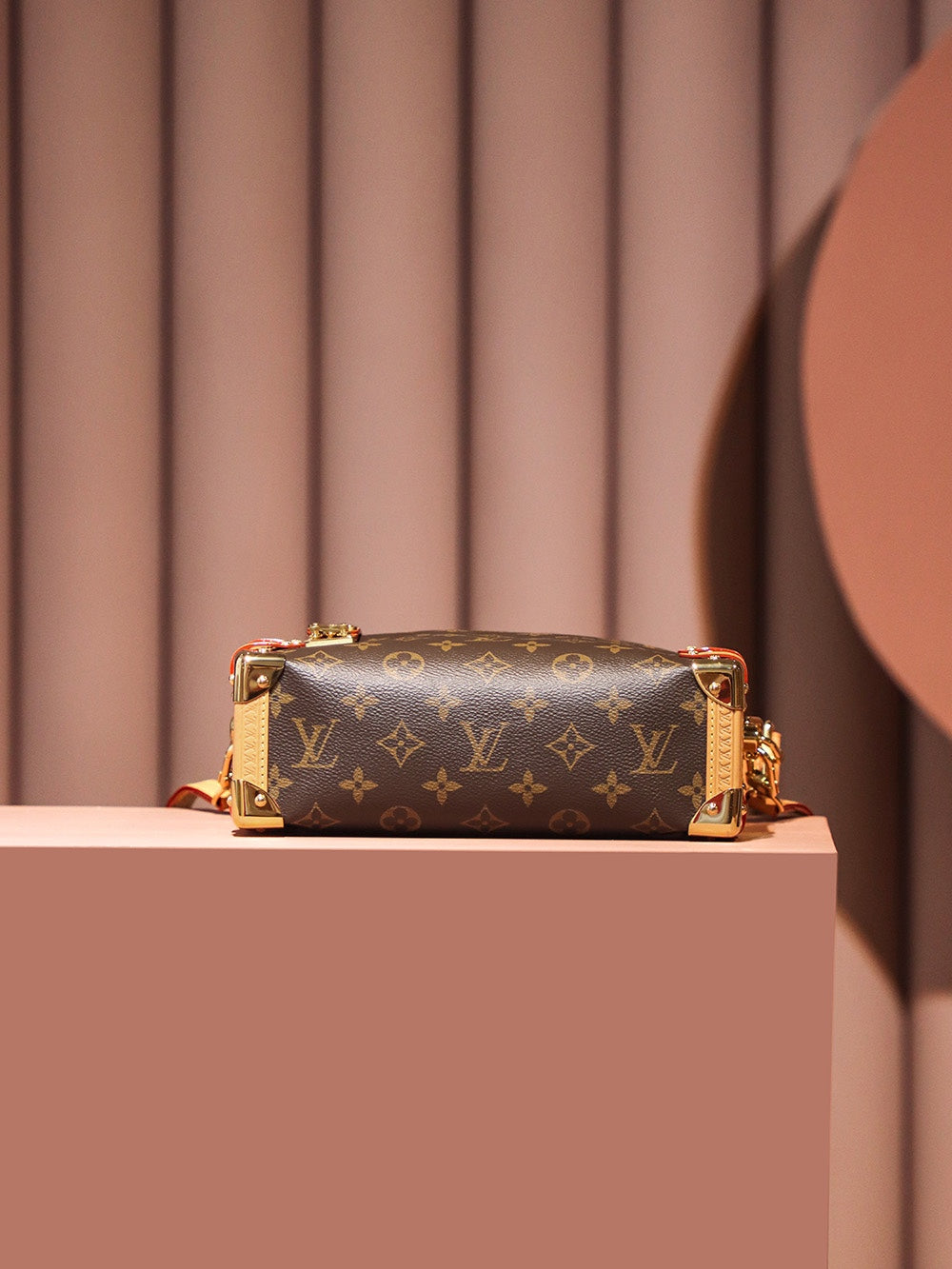 Louis Vuitton women's bags 10