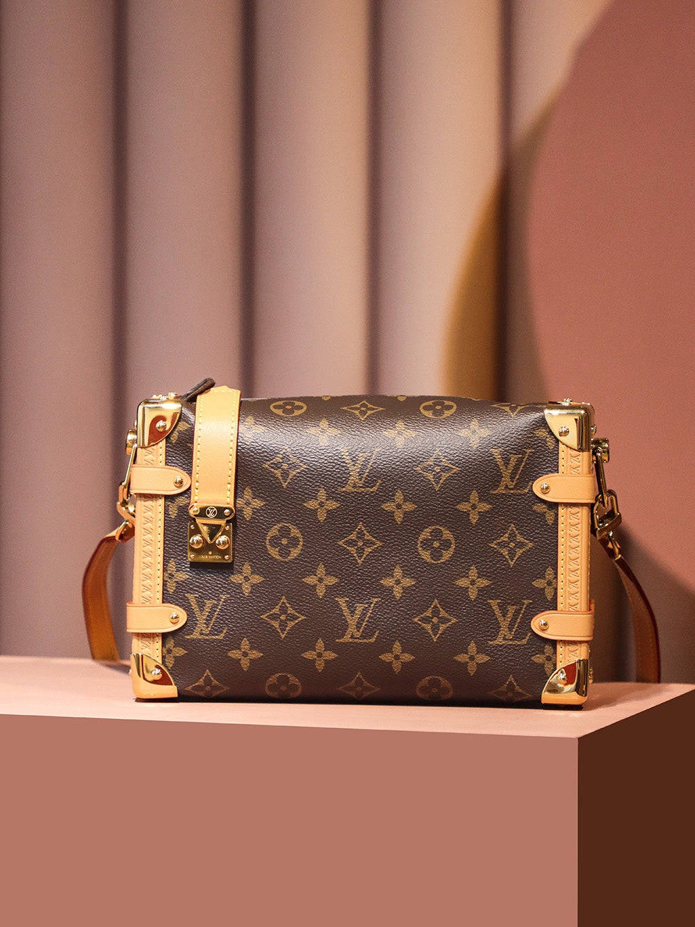 Louis Vuitton women's bags 10