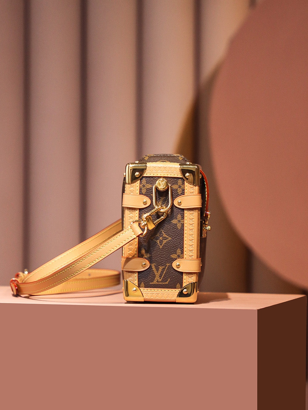 Louis Vuitton women's bags 10