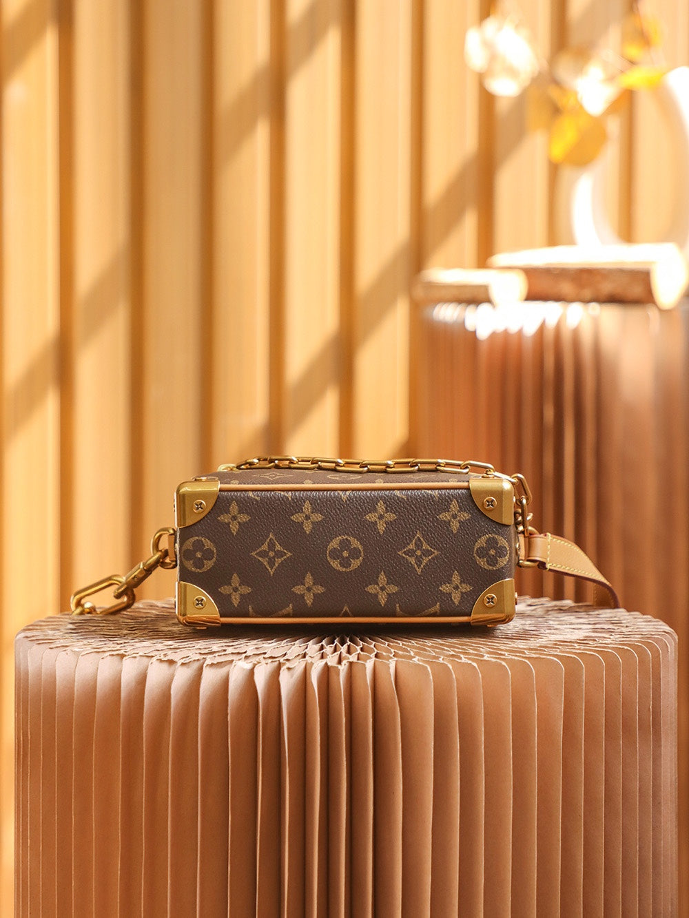 Louis Vuitton women's bags 11