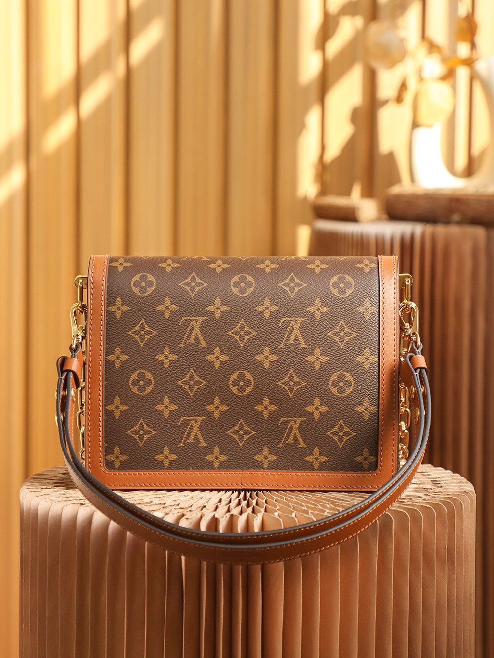 Louis Vuitton women's bags 12