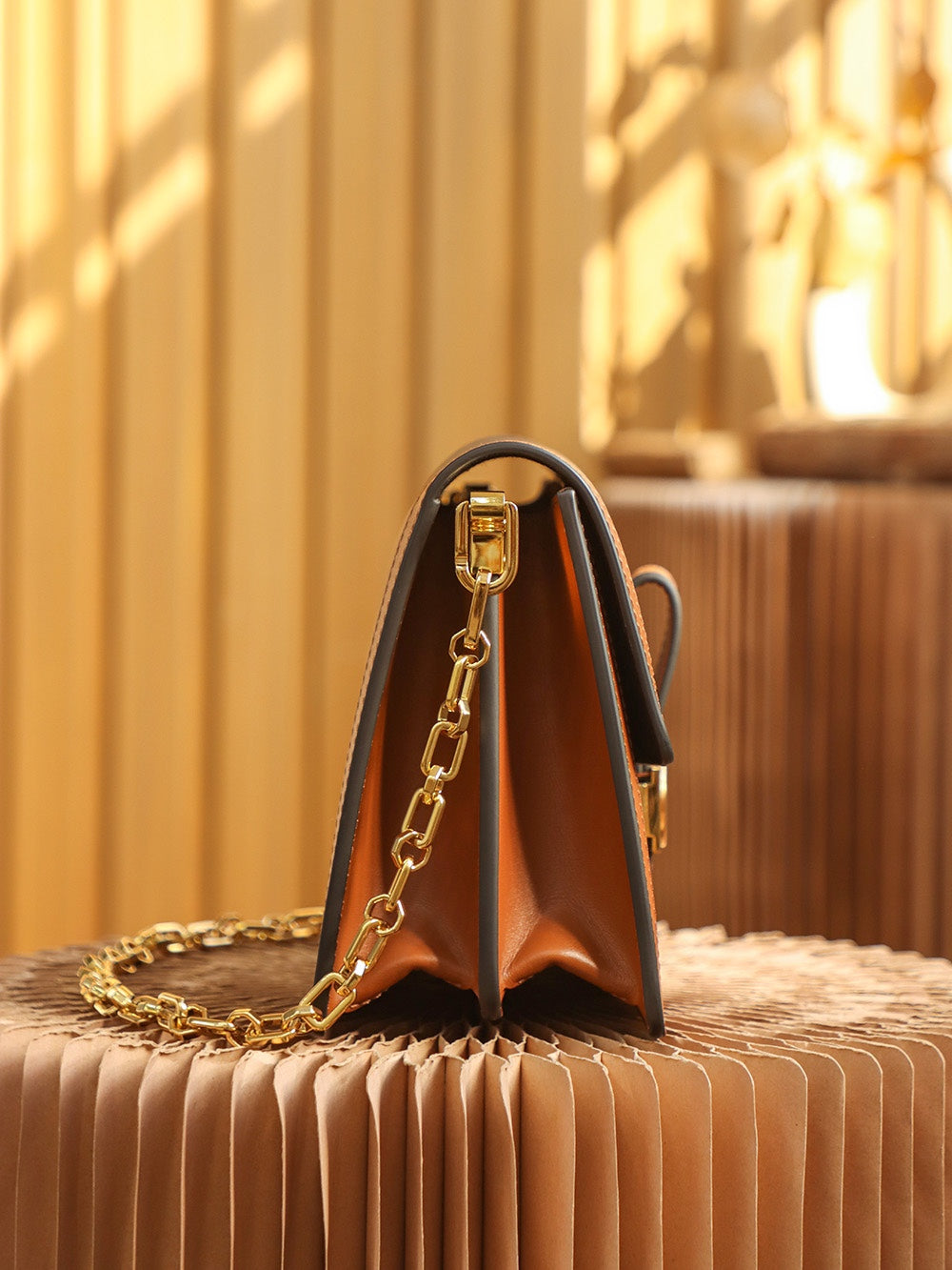 Louis Vuitton women's bags 12