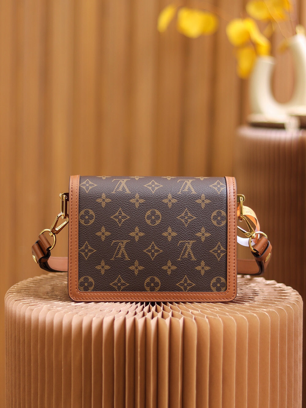 Louis Vuitton women's bags 13