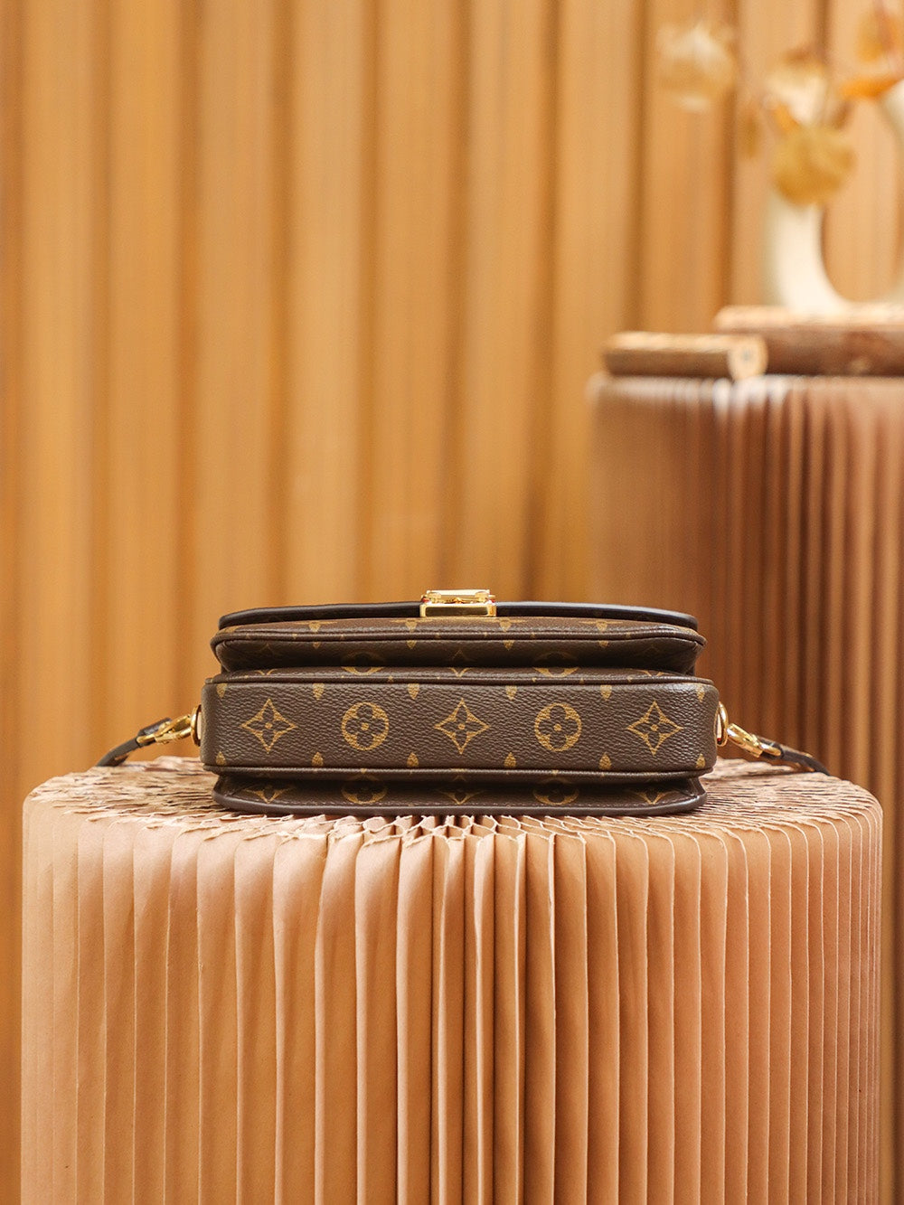 Louis Vuitton women's bags 14