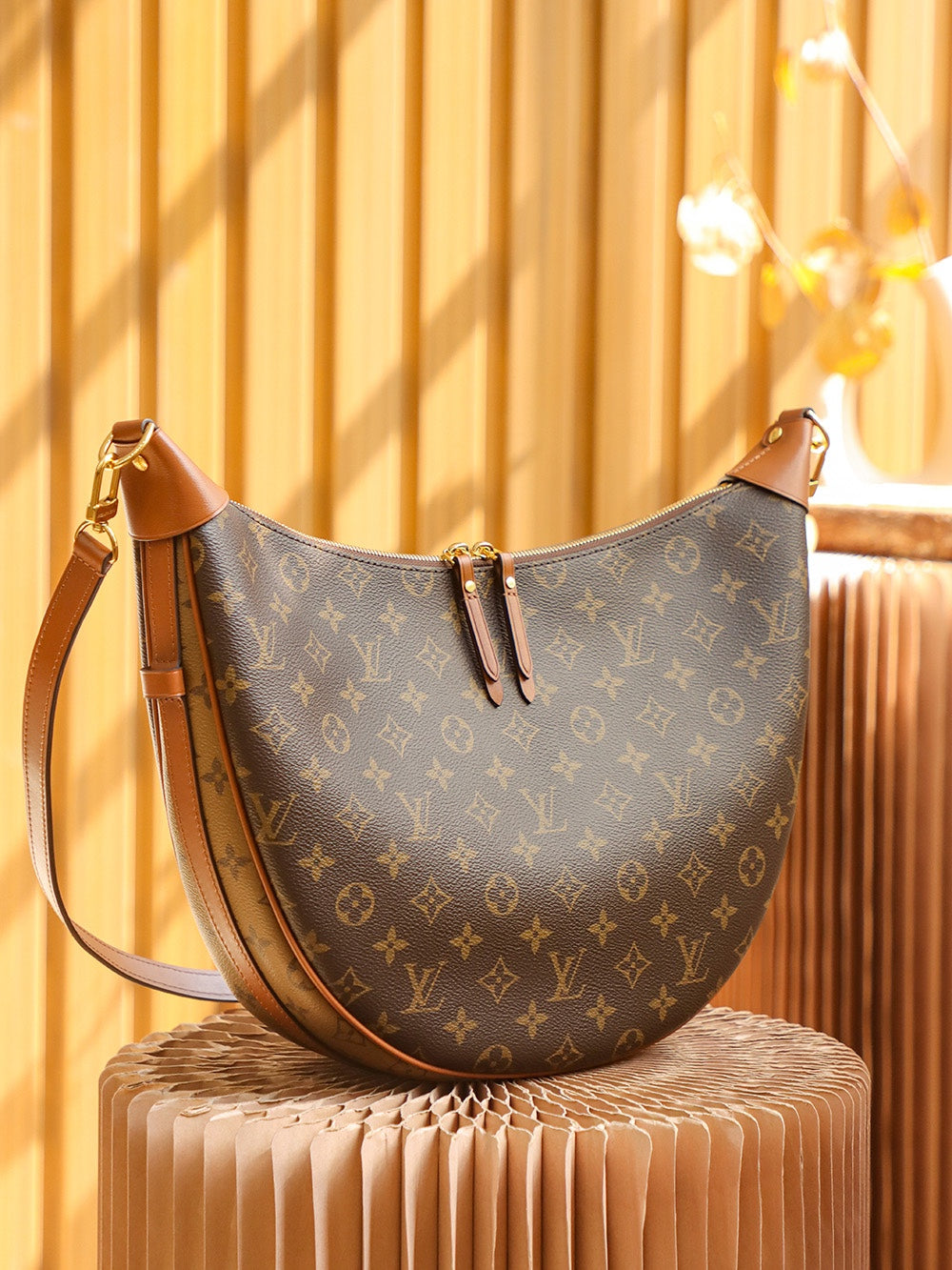Louis Vuitton women's bags 15