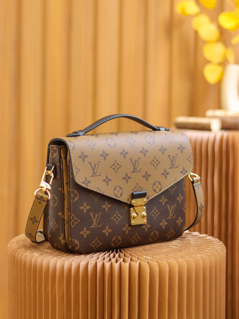 Louis Vuitton women's bags 16