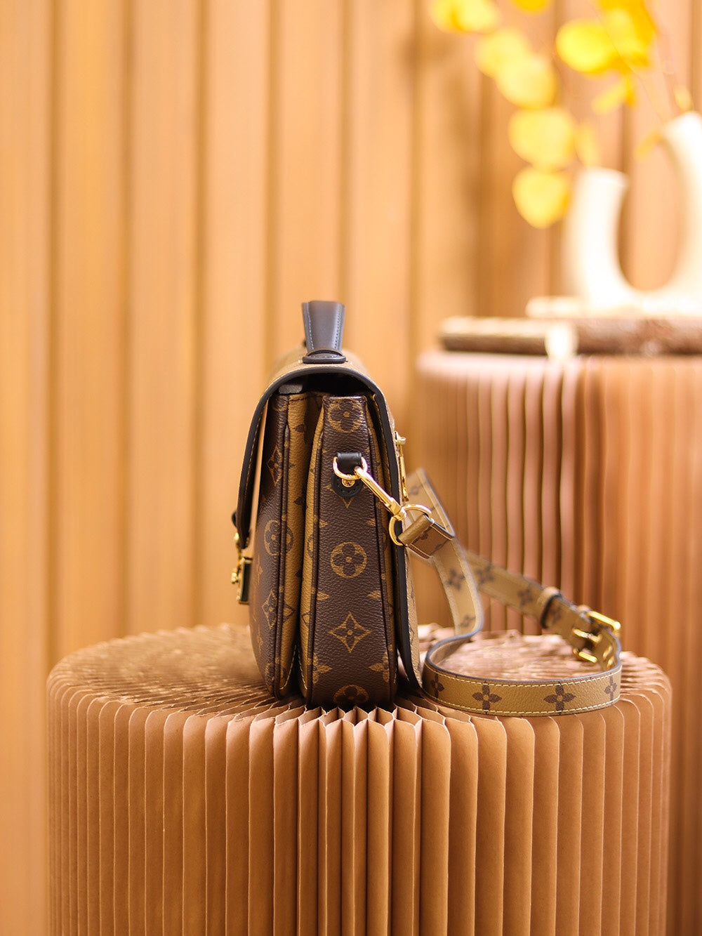 Louis Vuitton women's bags 16