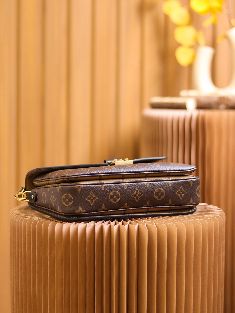 Louis Vuitton women's bags 16