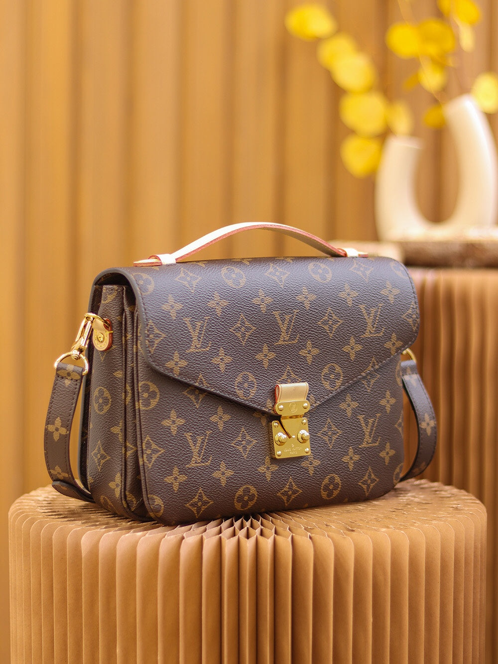 Louis Vuitton women's bags 17