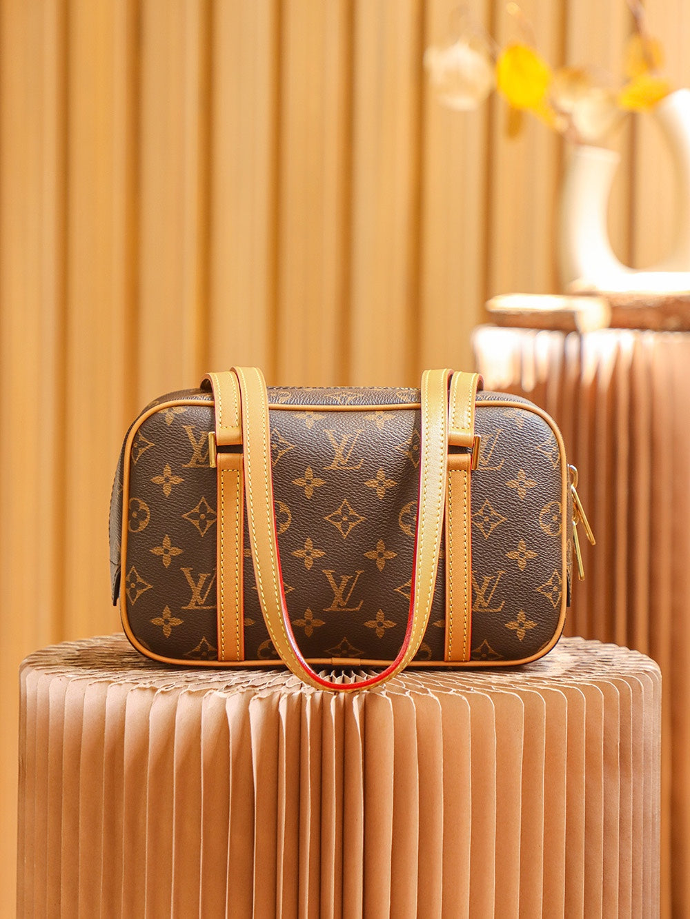Louis Vuitton women's bags 24