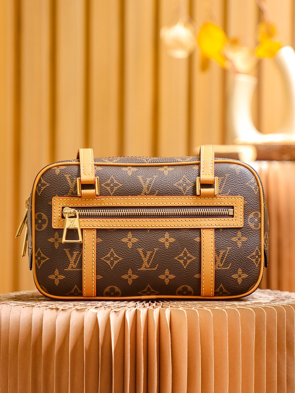 Louis Vuitton women's bags 24