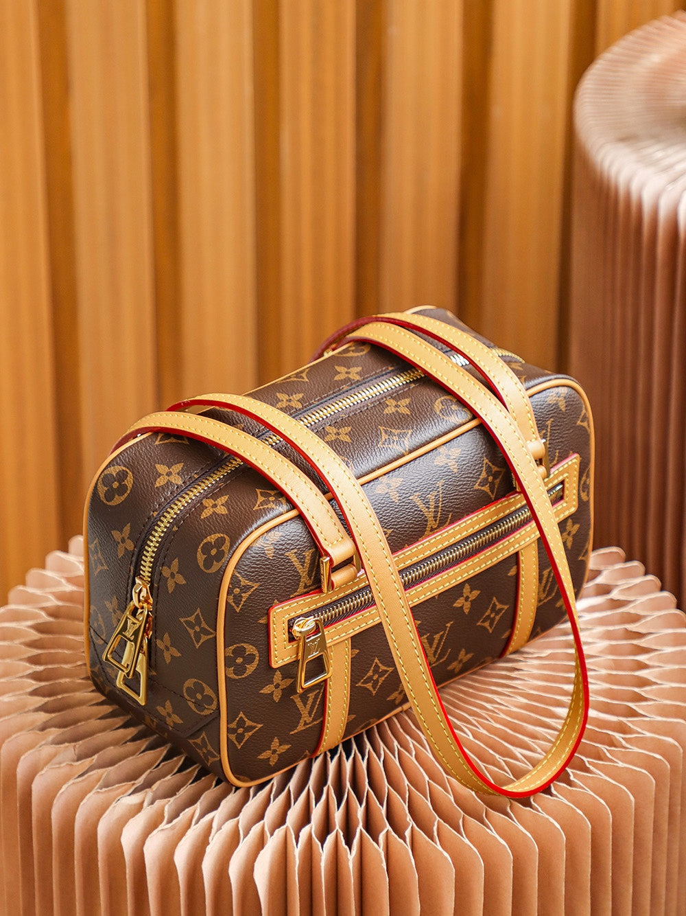 Louis Vuitton women's bags 24