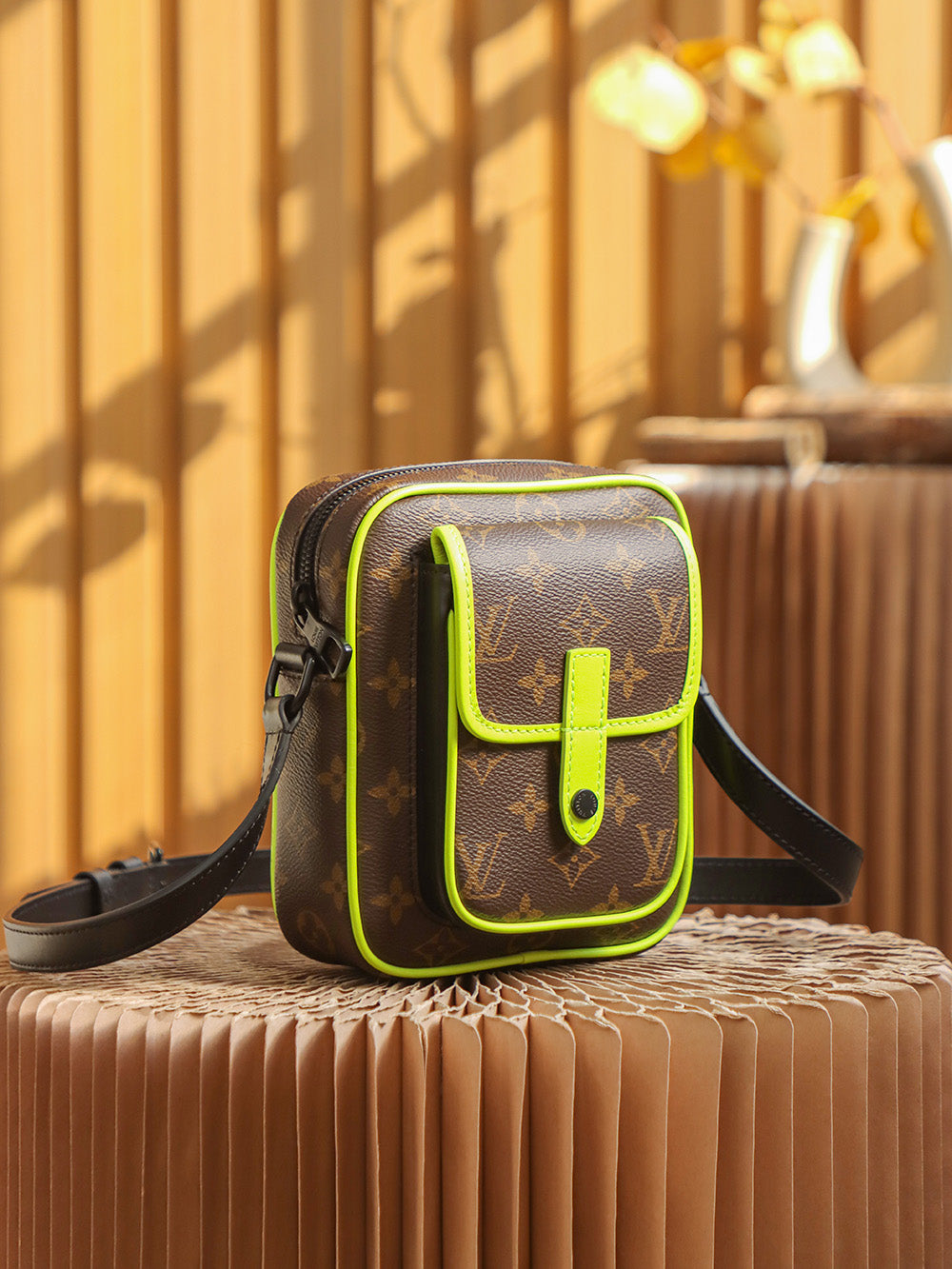 Louis Vuitton women's bags 33