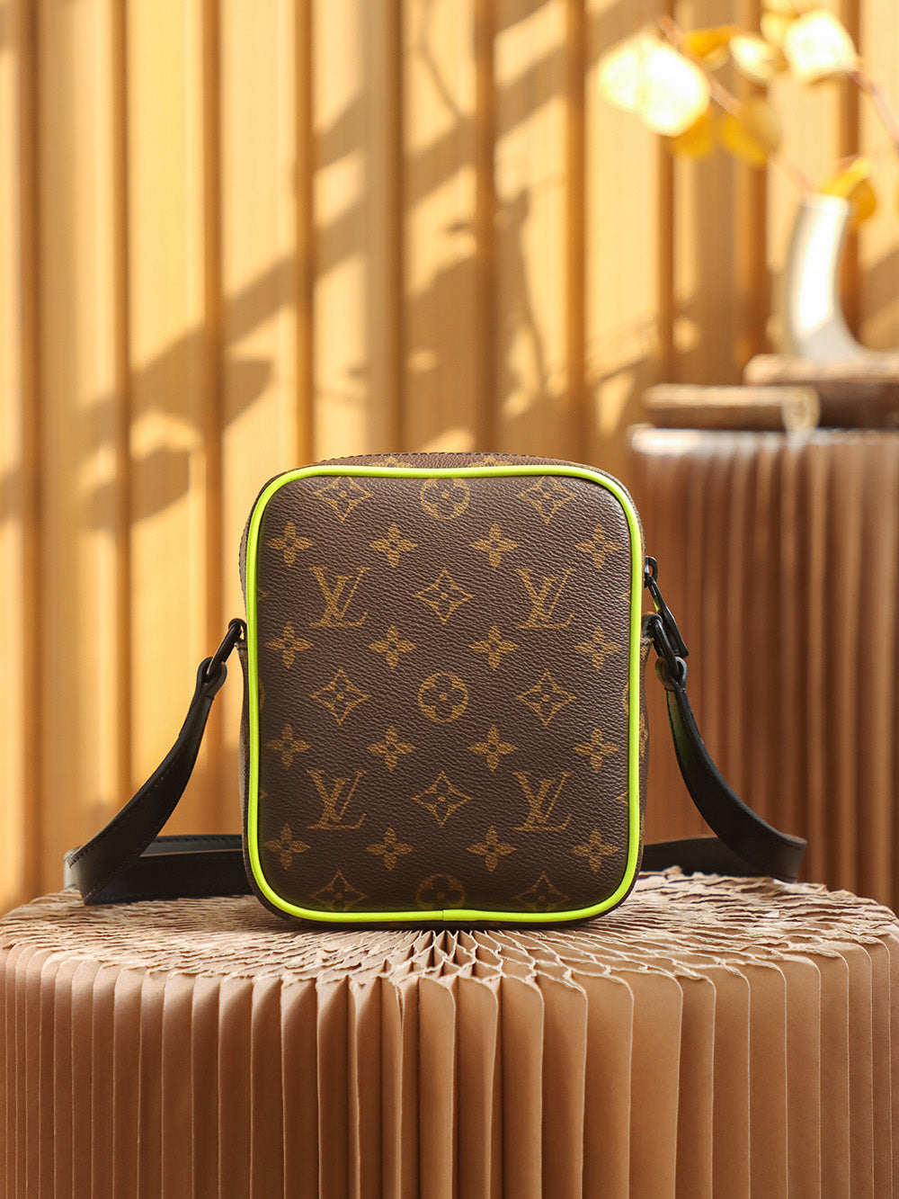 Louis Vuitton women's bags 33