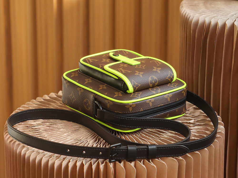 Louis Vuitton women's bags 33