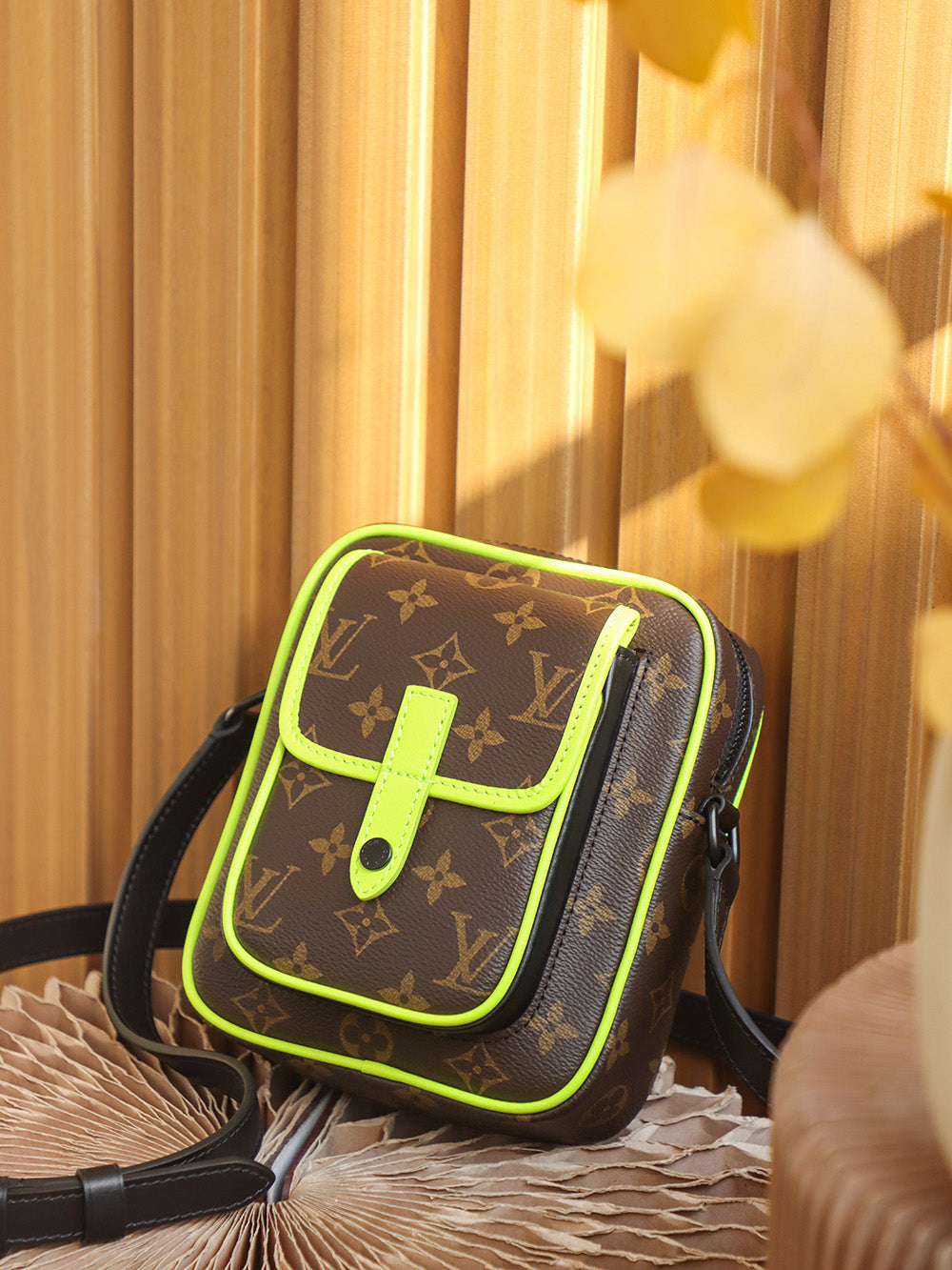 Louis Vuitton women's bags 33