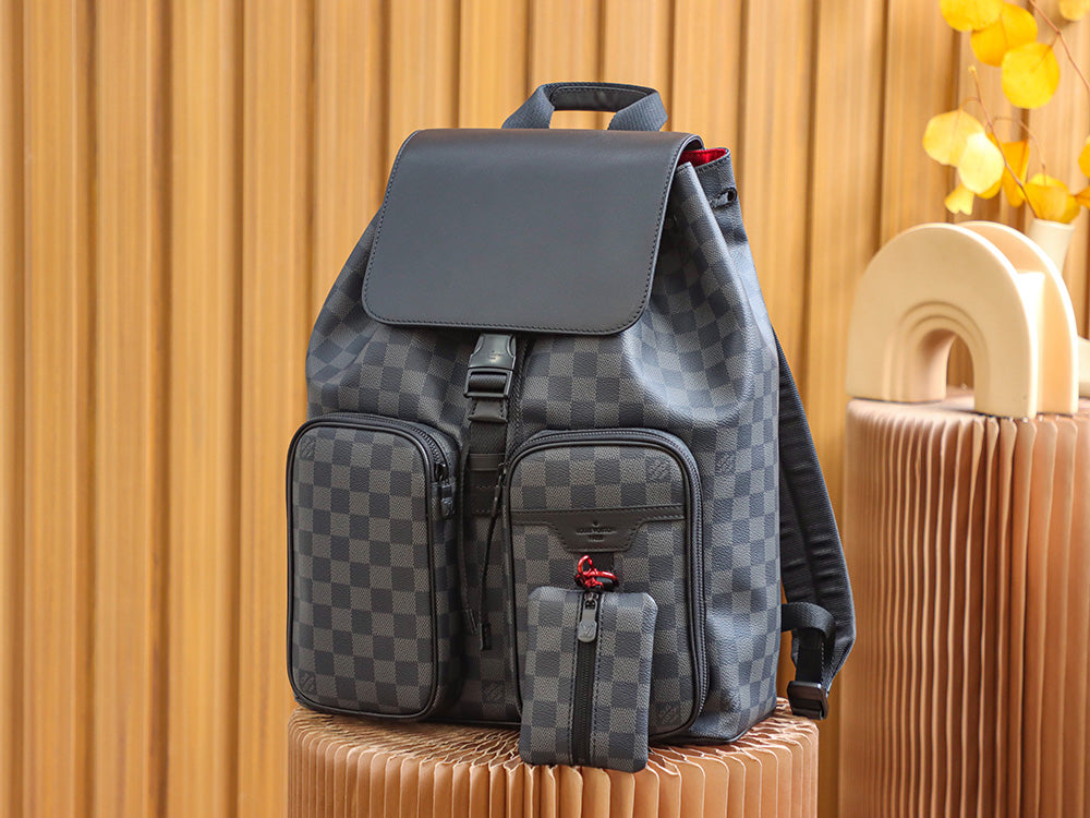 Louis Vuitton women's bags 41