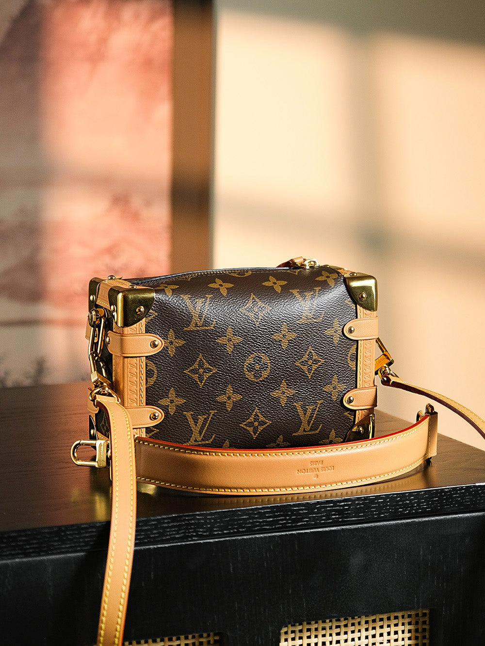 Louis Vuitton women's bags 52
