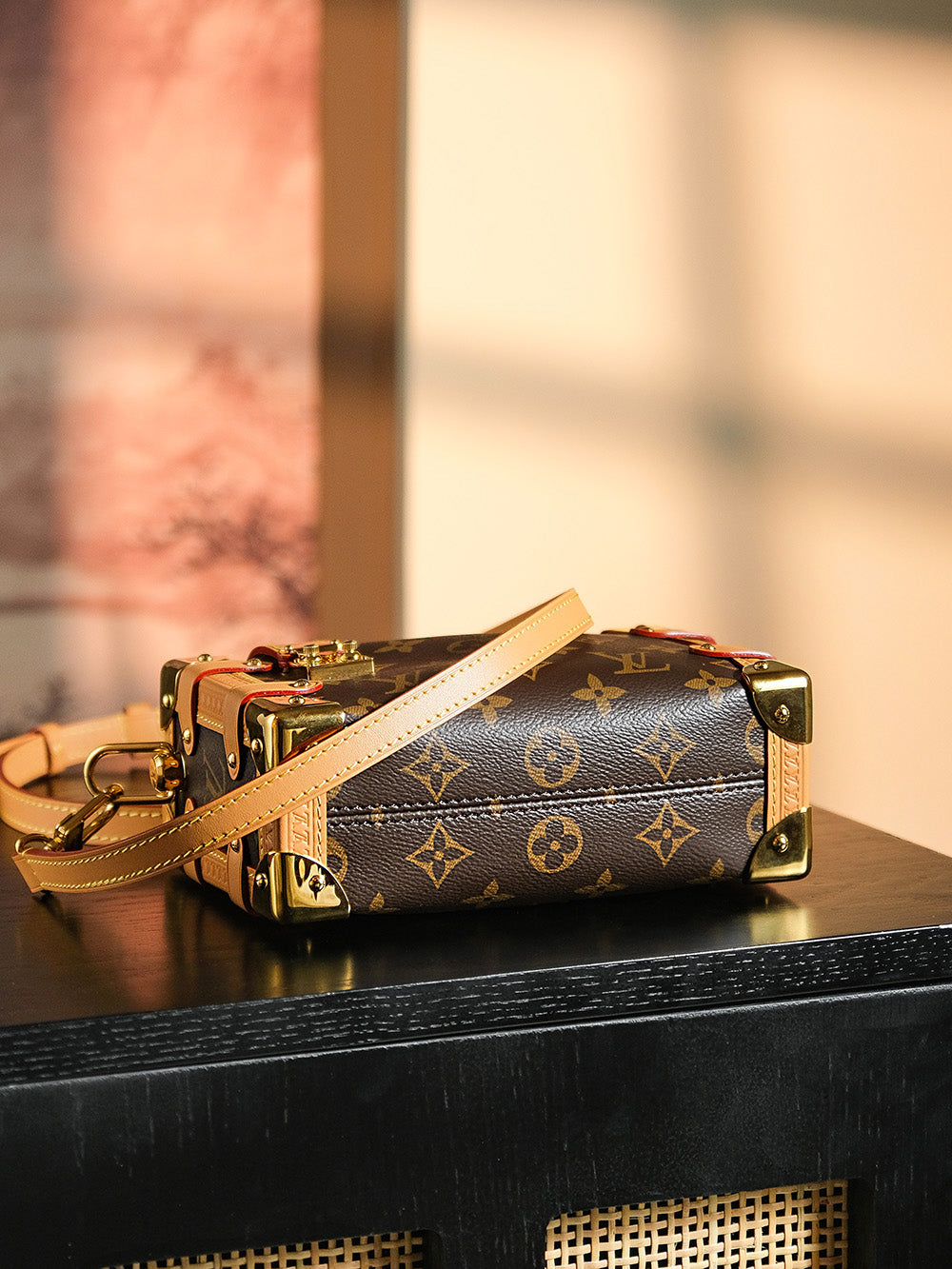 Louis Vuitton women's bags 52