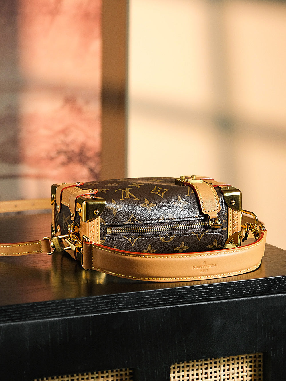 Louis Vuitton women's bags 52