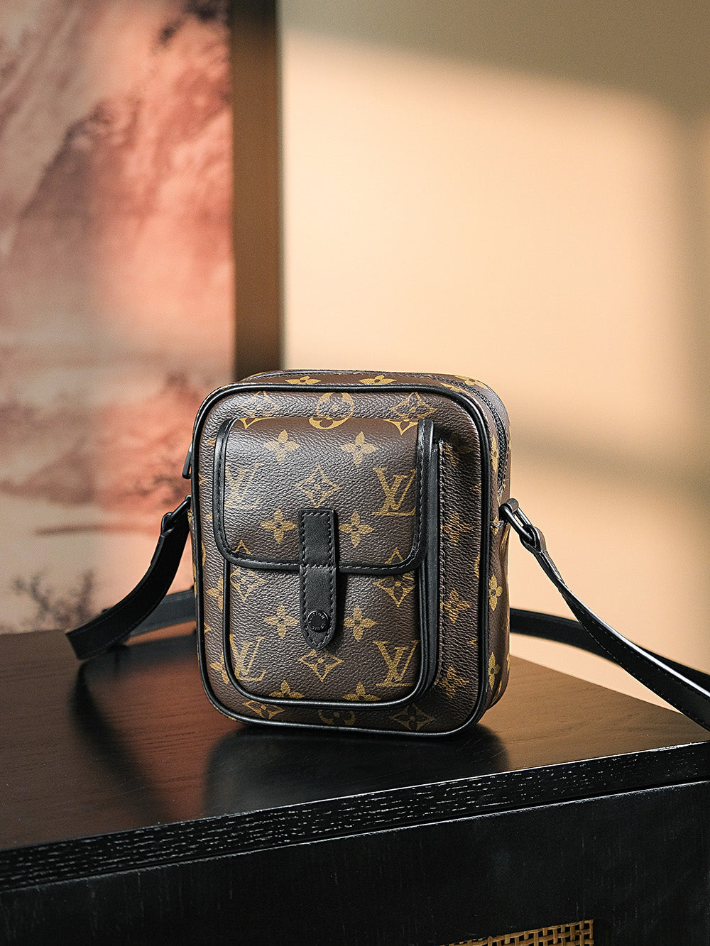 Louis Vuitton women's bags 56