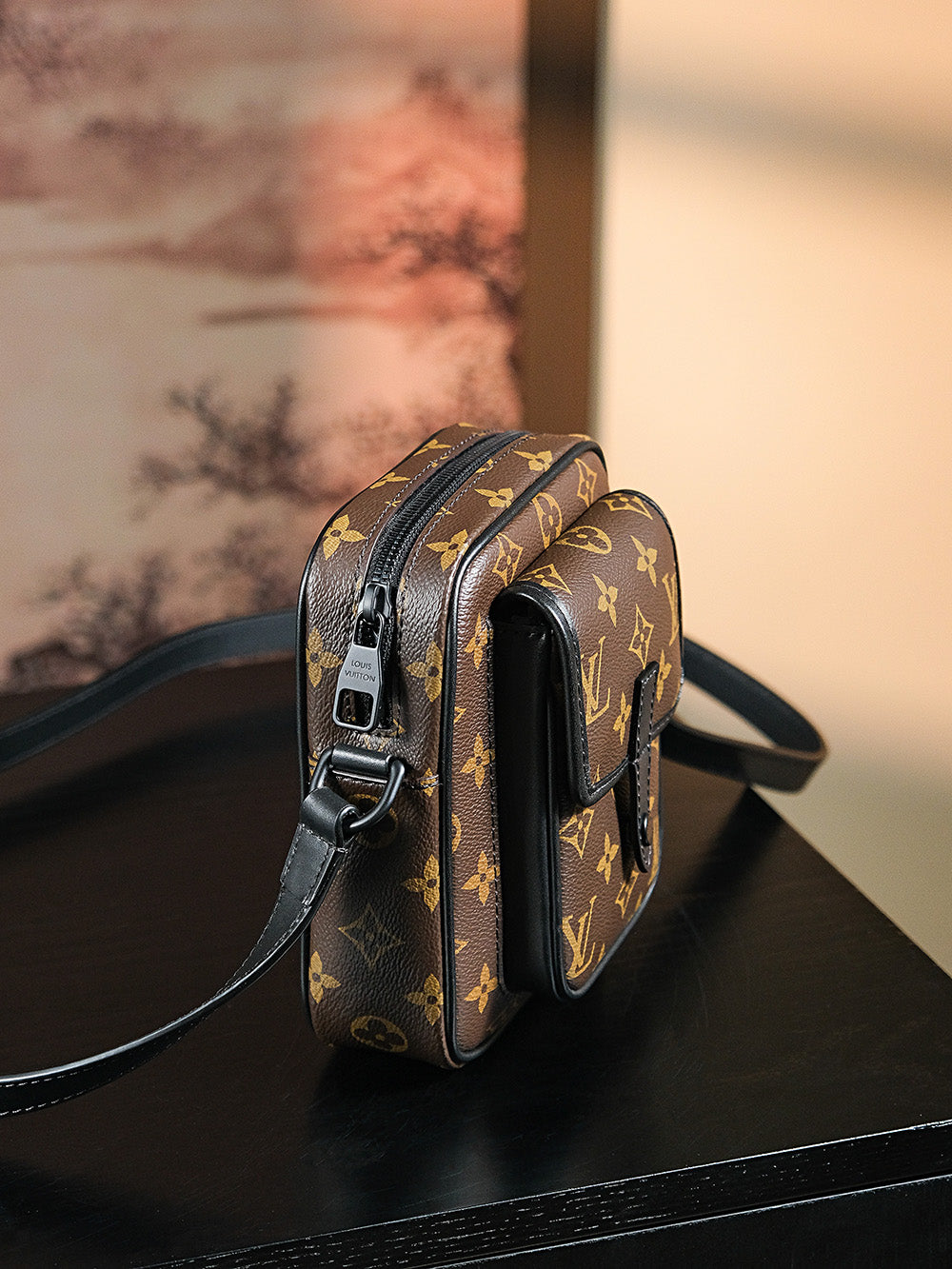 Louis Vuitton women's bags 56