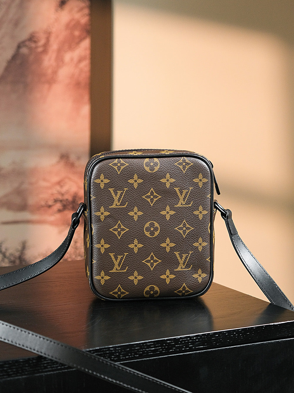 Louis Vuitton women's bags 56