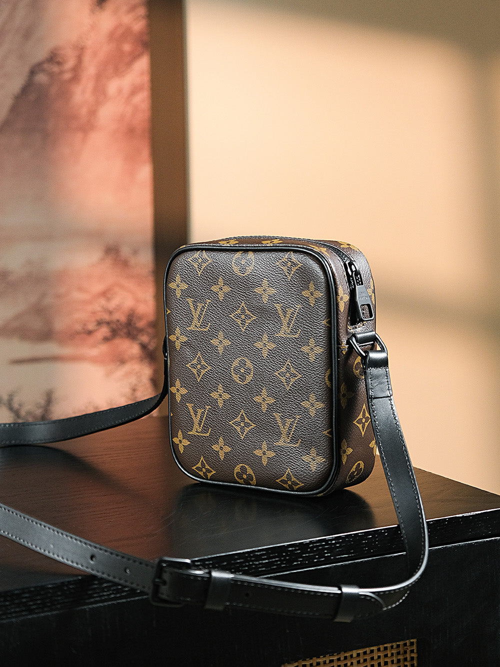 Louis Vuitton women's bags 56
