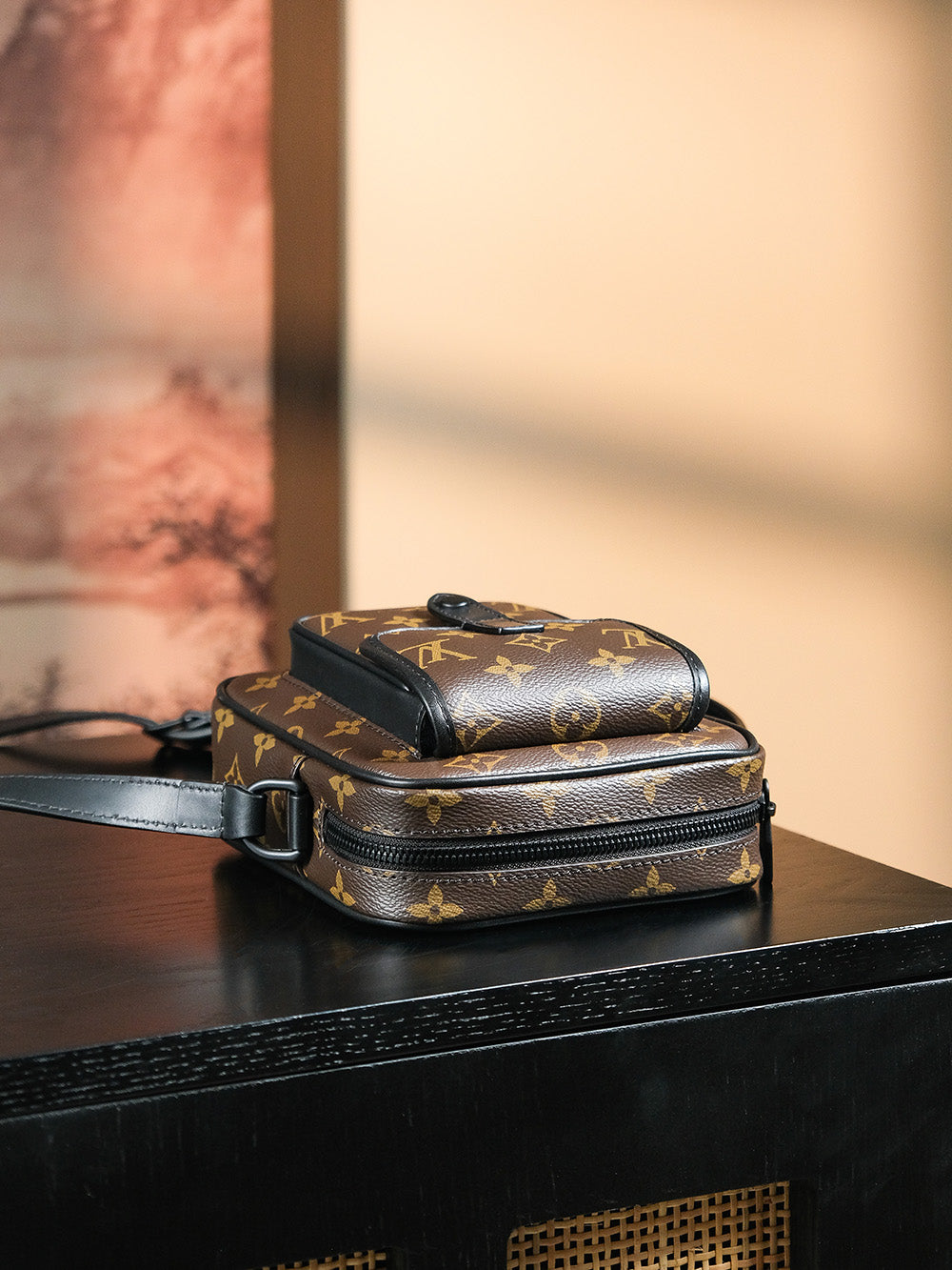 Louis Vuitton women's bags 56
